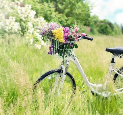 trasy rowerowe
