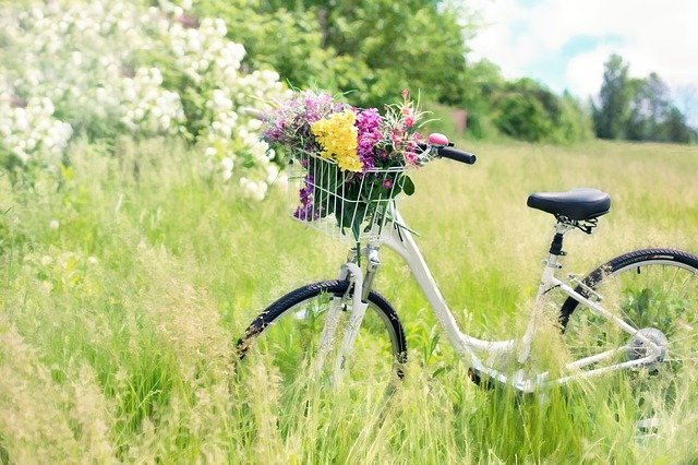 trasy rowerowe